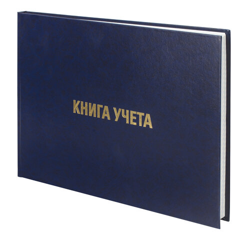 Книга учета 160л., клетка, твердая, бумвинил, блок офсет, ГОРИЗОНТАЛЬНАЯ, А4 (210х295мм), BRAUBERG, 130228