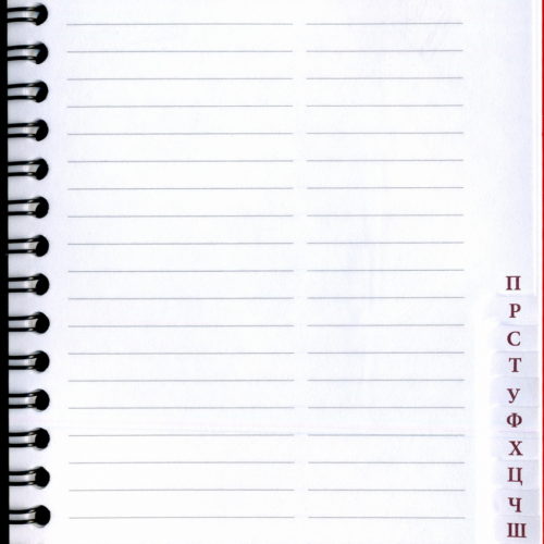 Книга телефонная БЕЖЕВАЯ с полосками, 115х205мм., 48л.  арт.17с192.13