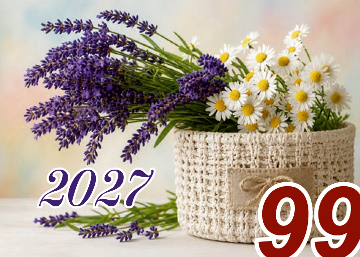 Календарь квартальный РБ на 2027 год, №99 Лаванда, 3 блока, 3 гребня, бегунок, 730х297 мм.