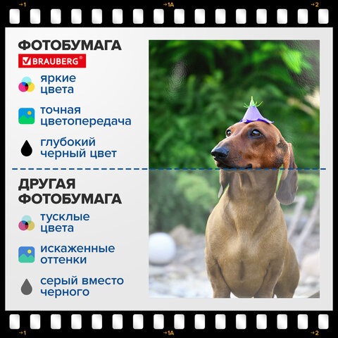Фотобумага глянцевая, А4, 230 г/м2, односторонняя, 100 листов, ПАКЕТ, BRAUBERG ORIGINAL, 364421