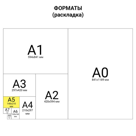 Тетрадь на кольцах А5 (180х220 мм), 80 листов, под кожу, клетка, BRAUBERG VISTA, Colors, 112129