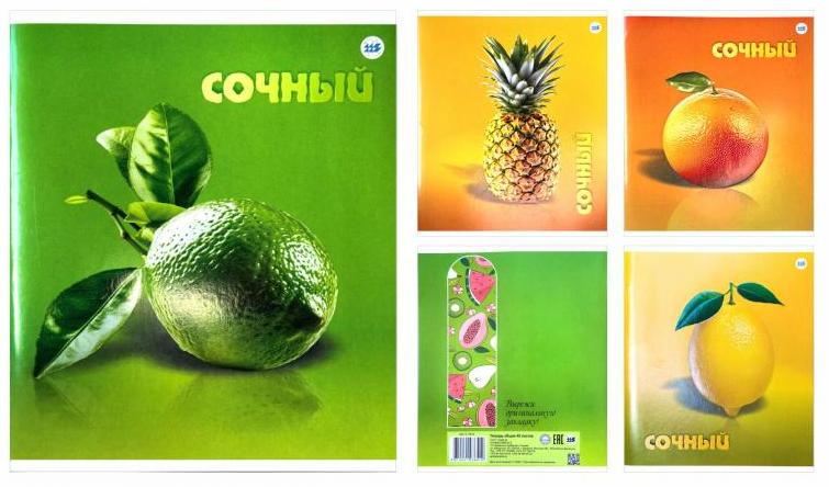 Тетрадь А5 48 л. СОЧНЫЙ, скоба, клетка, обложка картон, лак, тиснение, ассорти, арт.С1315