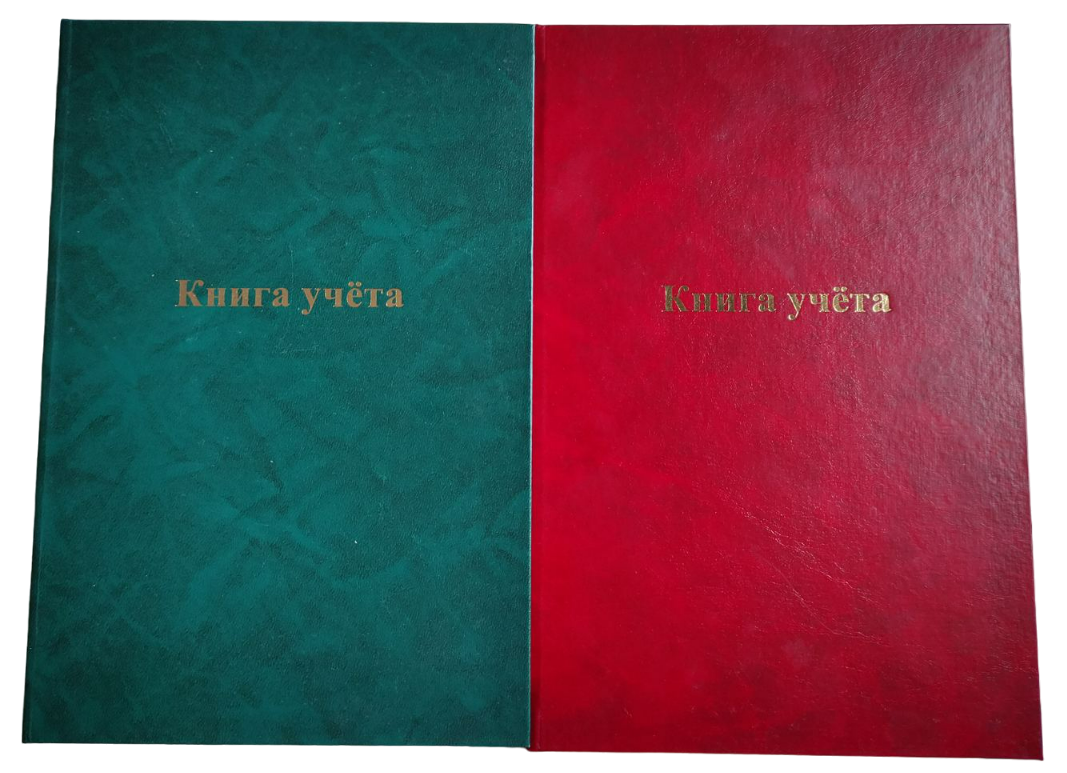 Книга учета 96л. 200х295мм, в клетку, бумвинил, ассорти, РБ