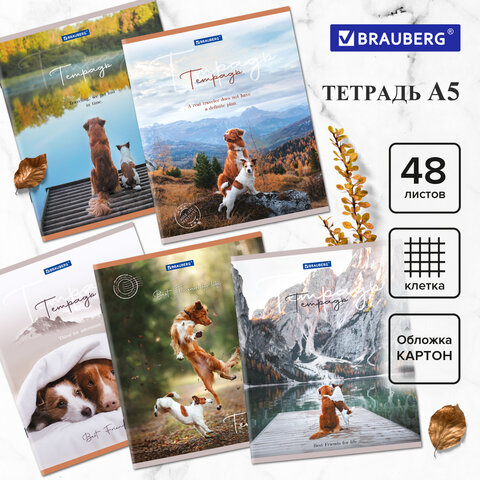 Тетрадь А5 48 л. BRAUBERG Best Friends скоба, клетка, обложка картон, ассорти, 404360