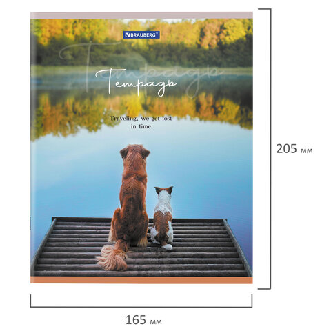 Тетрадь А5 48 л. BRAUBERG Best Friends скоба, клетка, обложка картон, ассорти, 404360
