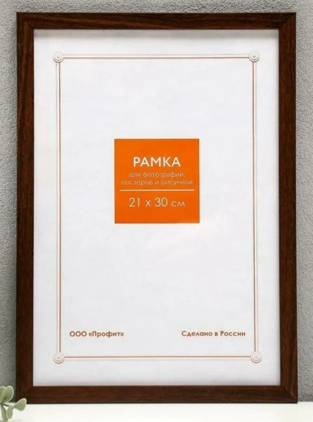 Фоторамка 21х30см. А4, пластик, цвет БУК №14 арт.RP 1487