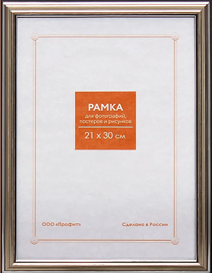 Фоторамка 21х30см. А4, пластик, цвет СЕРЕБРО №2 арт.RP 290