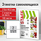 Этикетка самоклеящаяся ,2 (210х148,5мм.) STAFF 100л. 115669