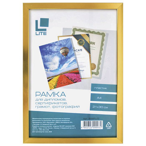Фоторамка 21х30см. LITE А4, пластик, золотистая